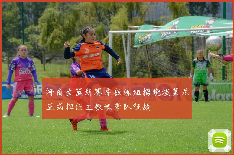 河南女篮新赛季教练组揭晓埃莱尼正式担任主教练带队征战